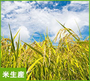 米生産